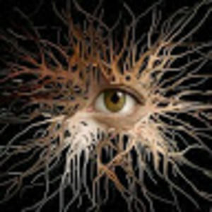 Meet your Posher, Donald